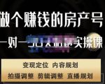 刘广标·同城房产号线上陪跑课，拍摄、剪辑、写文案、直播，做一个具有潜力价值的房产号_微雨项目网