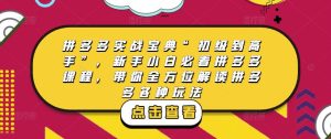 拼多多实战宝典“初级到高手”，新手小白必看拼多多课程，带你全方位解读拼多多各种玩法_微雨项目网