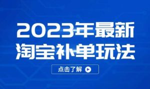 2023年最新淘宝补单玩法,18节课让教你快速起新品,安全不降权_微雨项目网