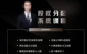 韩老师聊美业-美业股权分配系统课程,如何制定约束股东规则+老板占100%的股份+单店老板占小股份等_微雨项目网