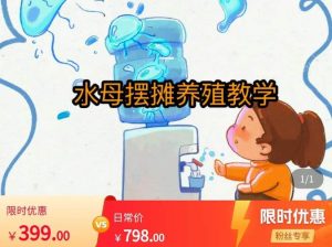 水母摆摊教学,包括摆摊技术、养殖技术、拿货渠道、抖音运营等_微雨项目网