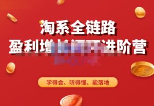 淘系全链路盈利增长闭环进阶营，融合全店动销，学得会、听得懂、能落地！_微雨项目网