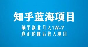 知乎蓝海玩法，躺平副业月入1W+，真正的睡后收入项目（6节视频课）_微雨项目网