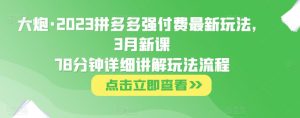 大炮·2023拼多多强付费最新玩法，3月新课​78分钟详细讲解玩法流程_微雨项目网