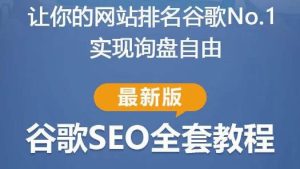 谷歌SEO实战教程：如何让你的网站在谷歌排名第一，内容从入门到高阶，适合个人及团队_微雨项目网
