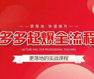 互力-多多新品打爆全流程，拼多多14天拉搜索自然流量，更落地·快速提升_微雨项目网