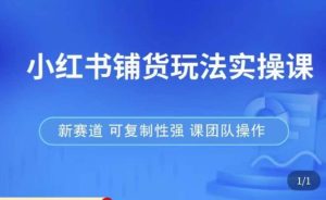 小红书铺货玩法实操课，流量大，竞争小，非常好做，新赛道，可复制性强，可团队操作_微雨项目网