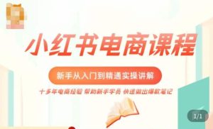 小红书电商新手入门到精通实操课，从入门到精通做爆款笔记，开店运营_微雨项目网