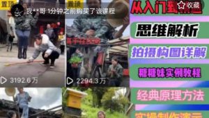 东方糖糖妹抖音短视频全套实战课思维+拍摄+剪辑+运营,从入门到精通_微雨项目网