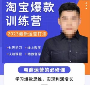 爱上黄昏·淘宝爆款训练营，2023最新运营打法，学习爆款思维，实现利润增长_微雨项目网