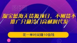 淘宝蓝海无货源项目，不囤货不推广只做冷门高利润代发，花一半时间赚10倍钱_微雨项目网