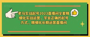 老马实战起号2023直播间全套精细化实战运营，学会正确的起号方式，精细化长期运营直播间_微雨项目网