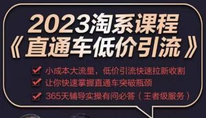 2023直通车低价引流玩法课程,小成本大流量,低价引流快速拉新收割,让你快速掌握直通车突破瓶颈_微雨项目网
