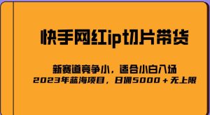 2023爆火的快手网红IP切片,号称日佣5000+的蓝海项目,二驴的独家授权_微雨项目网