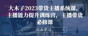 大木子2023带货主播系统课，主播能力提升训练营，主播带货必修课_微雨项目网