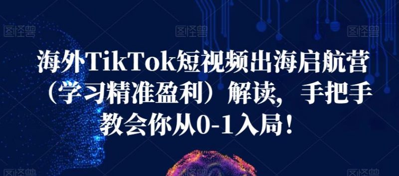 海外TikTok短视频出海启航营(学习精准盈利)解读,手把手教会你从0-1入局!_微雨项目网
