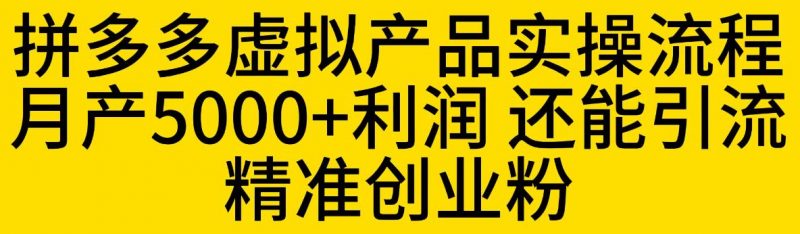 拼多多虚拟产品实操流程,月产5000+利润,还能引流精准创业粉【揭秘】_微雨项目网