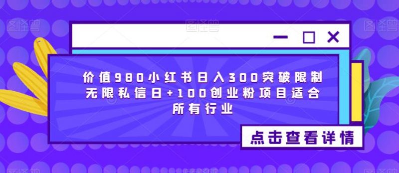 价值980小红书日入300突破限制无限私信日+100创业粉项目适合所有行业_微雨项目网
