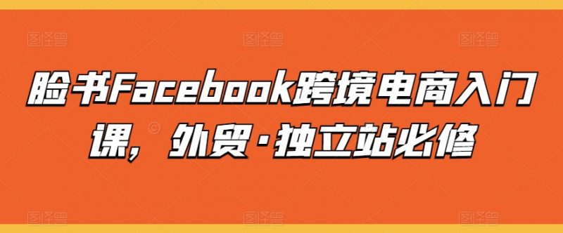 脸书Facebook跨境电商入门课，外贸·独立站必修_微雨项目网