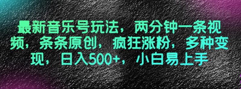最新音乐号玩法，两分钟一条视频，条条原创，疯狂涨粉，多种变现，日入500+，小白易上手【揭秘】_微雨项目网