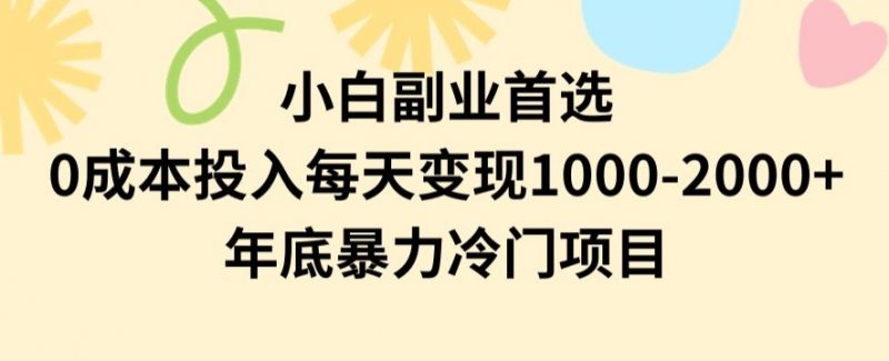 小白副业首选,0成本投入,每天变现1000-2000年底暴力冷门项目【揭秘】_微雨项目网