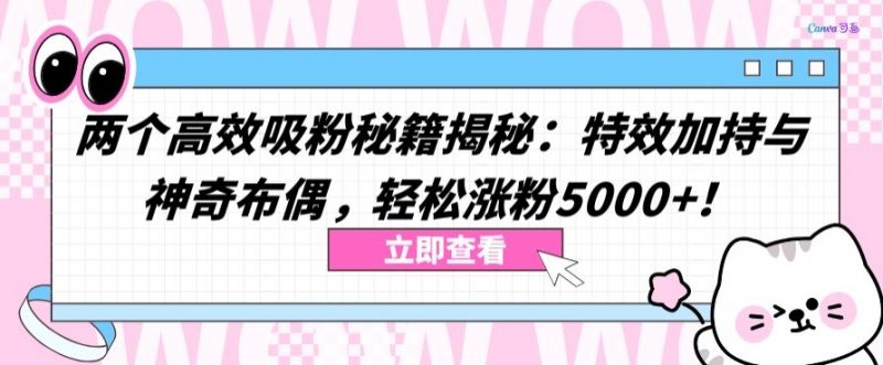 两个高效吸粉秘籍揭秘：特效加持与神奇布偶，轻松涨粉5000+【揭秘】_微雨项目网