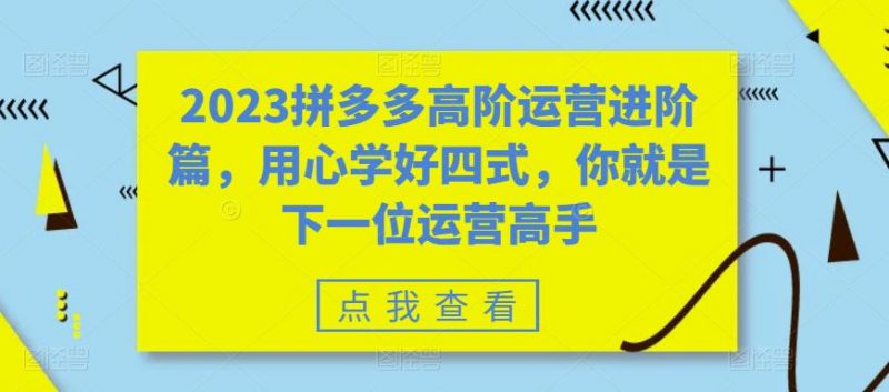 2023拼多多高阶运营进阶篇,用心学好四式,你就是下一位运营高手_微雨项目网