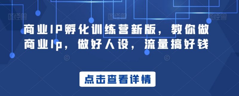商业IP孵化训练营新版，教你做商业Ip，做好人设，流量搞好钱_微雨项目网