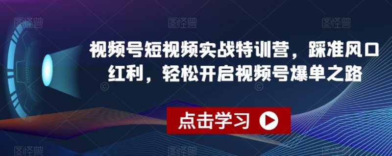 视频号短视频实战特训营，踩准风口红利，轻松开启视频号爆单之路_微雨项目网