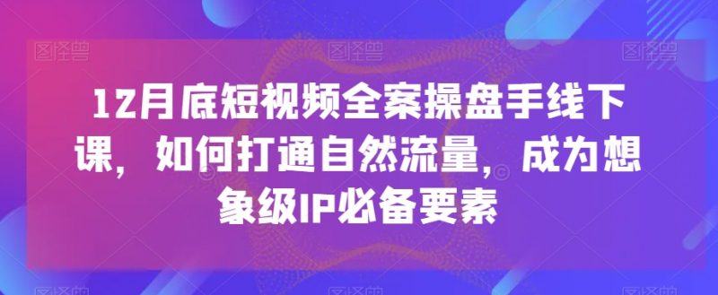 12月底短视频全案操盘手线下课,如何打通自然流量,成为想象级IP必备要素_微雨项目网