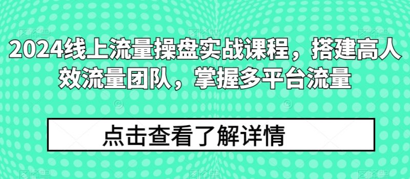 2024线上流量操盘实战课程，搭建高人效流量团队，掌握多平台流量_微雨项目网