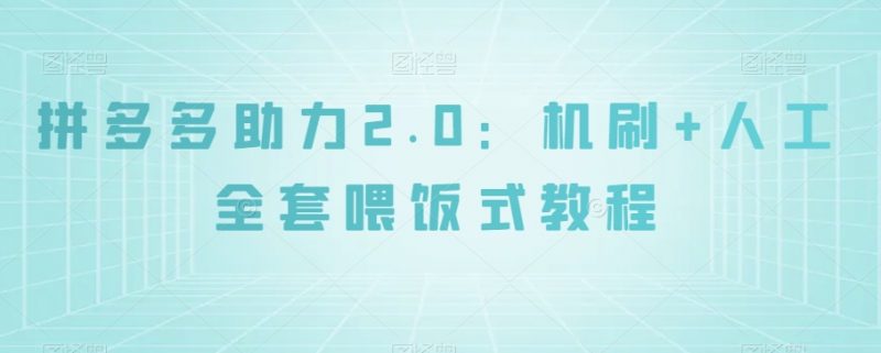 拼多多助力2.0：机刷+人工全套喂饭式教程【揭秘】_微雨项目网