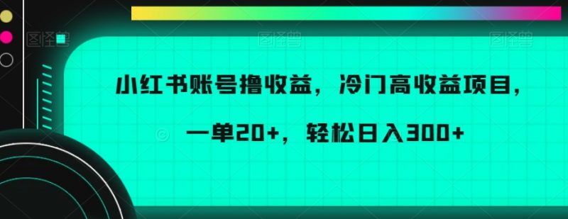 小红书账号撸收益，冷门高收益项目，一单20+，轻松日入300+【揭秘】_微雨项目网