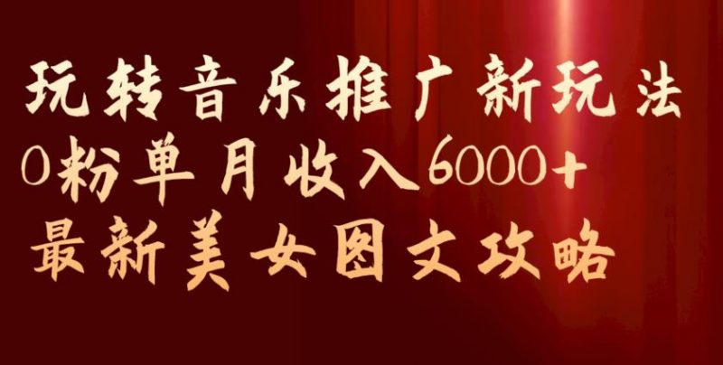 玩转音乐推广新玩法，0粉单月收入6000+，最新美女图文攻略【揭秘】_微雨项目网