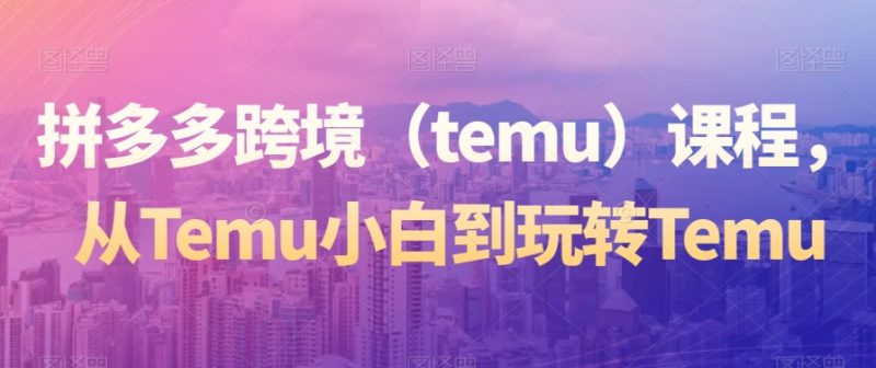 拼多多跨境（temu）课程，从Temu小白到玩转Temu_微雨项目网