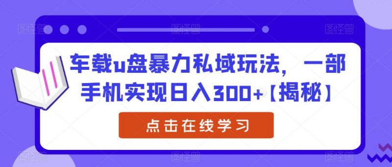 车载u盘暴力私域玩法,一部手机实现日入300+【揭秘】_微雨项目网