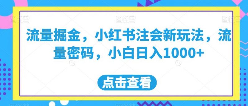 流量掘金，小红书注会新玩法，流量密码，小白日入1000+【揭秘】_微雨项目网