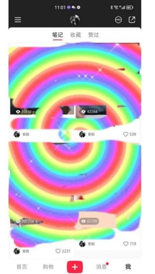 冷门高利润项目，小红书带货，无脑搬运，一部手机实现日入500+【揭秘】_微雨项目网