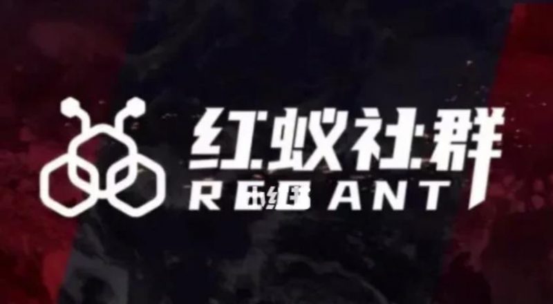 社群运营：红蚁社群【48节落地系统课程+2000人高端社群】_微雨项目网