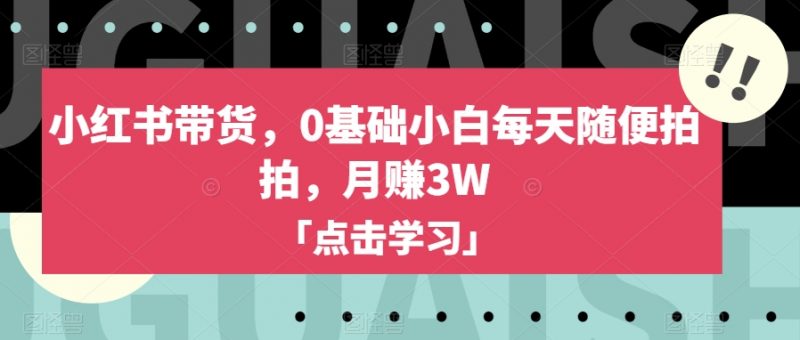 小红书带货，0基础小白每天随便拍拍，月赚3W【揭秘】_微雨项目网