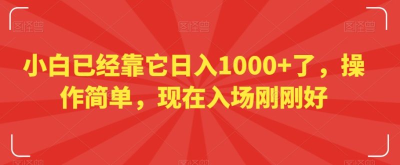 小白已经靠它日入1000+了，操作简单，现在入场刚刚好【揭秘】_微雨项目网