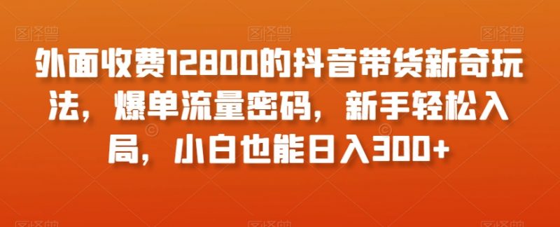 外面收费12800的抖音带货新奇玩法,爆单流量密码,新手轻松入局,小白也能日入300+【揭秘】_微雨项目网