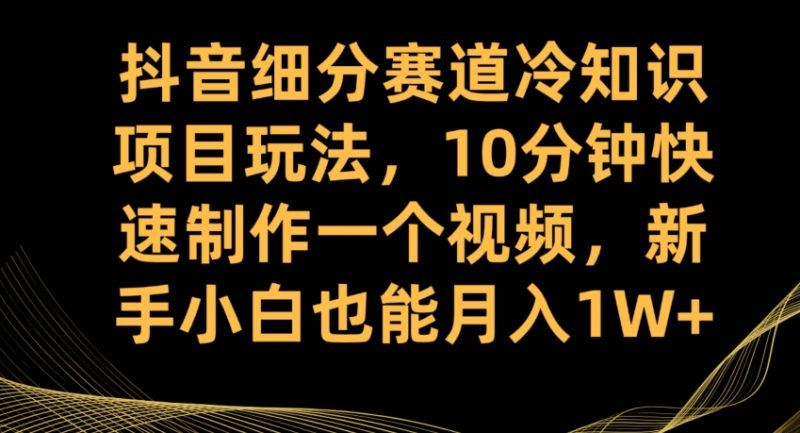 抖音细分赛道冷知识项目玩法,10分钟快速制作一个视频,新手小白也能月入1W+【揭秘】_微雨项目网