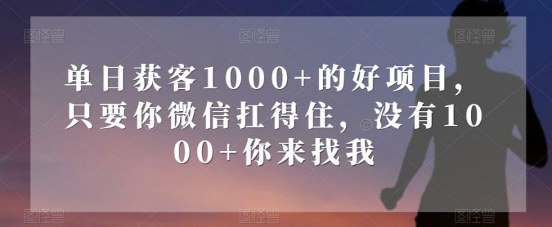单日获客1000+的好项目，只要你微信扛得住，没有1000+你来找我【揭秘】_微雨项目网