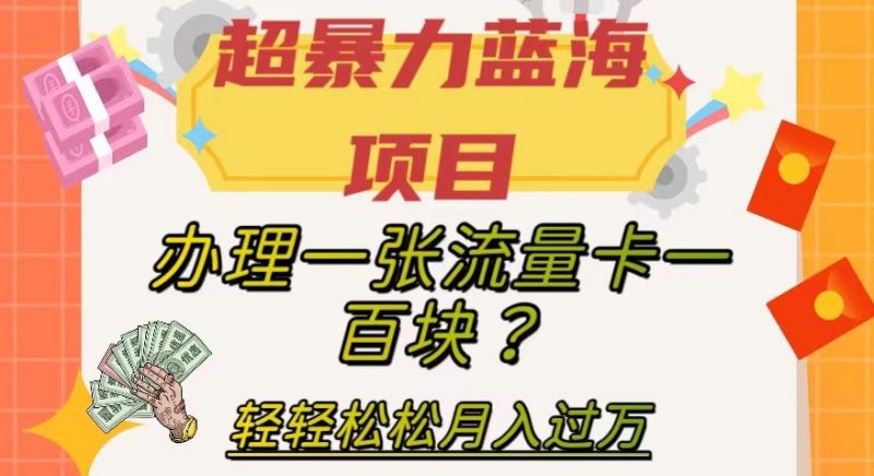 超暴力蓝海项目，办理一张流量卡一百块？轻轻松松月入过万，保姆级教程【揭秘】_微雨项目网