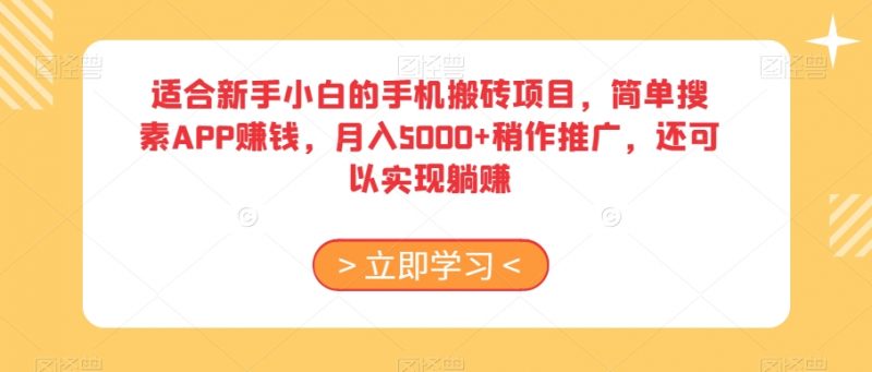 适合新手小白的手机搬砖项目,简单搜素APP赚钱,月入5000+稍作推广,还可以实现躺赚【揭秘】_微雨项目网
