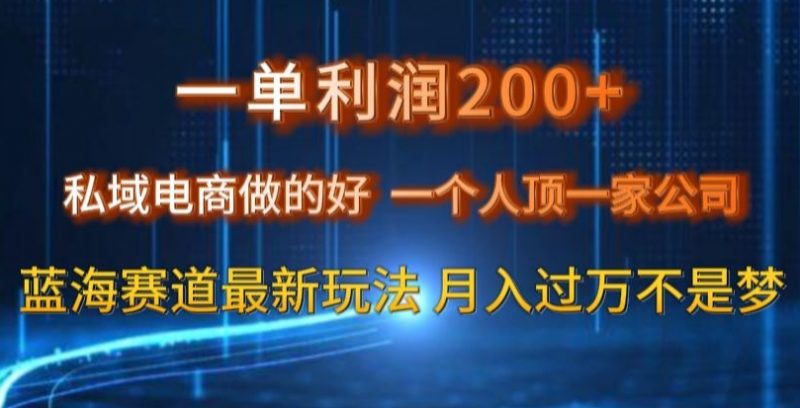一单利润200私域电商做的好，一个人顶一家公司蓝海赛道最新玩法【揭秘】_微雨项目网