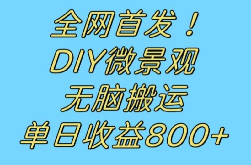 全网首发冷门赛道!DIY微景观,无脑搬运视频,日收益800+【揭秘】_微雨项目网