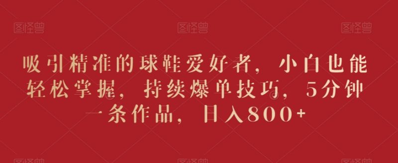 吸引精准的球鞋爱好者,小白也能轻松掌握,持续爆单技巧,5分钟一条作品,日入800+【揭秘】_微雨项目网