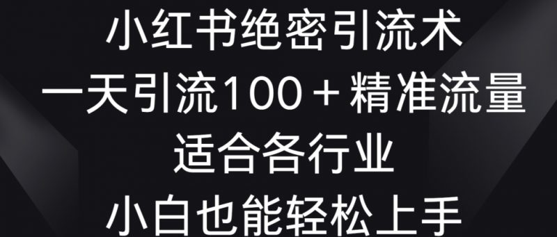 小红书绝密引流术,一天引流100+精准流量,适合各个行业,小白也能轻松上手【揭秘】_微雨项目网
